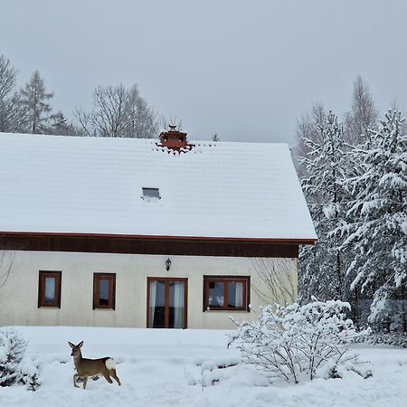 Dom Na Pstraznicy Villa Кудова-Здрой Екстериор снимка