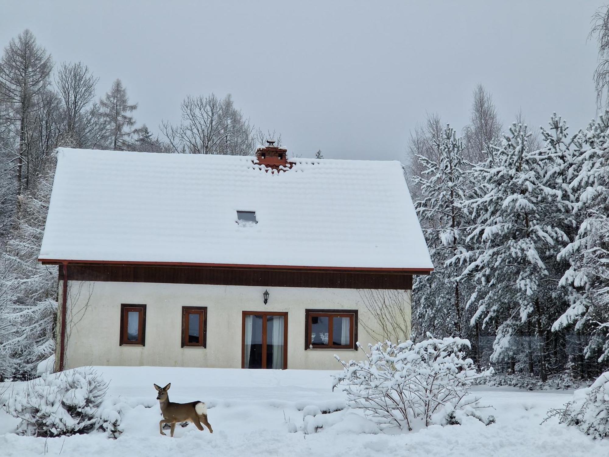 Dom Na Pstraznicy Villa Кудова-Здрой Екстериор снимка