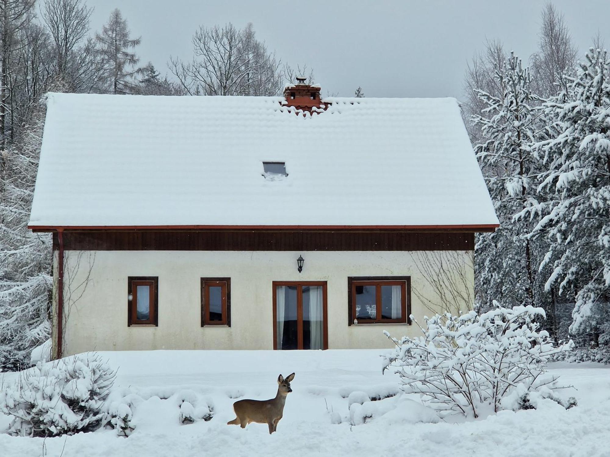 Dom Na Pstraznicy Villa Кудова-Здрой Екстериор снимка