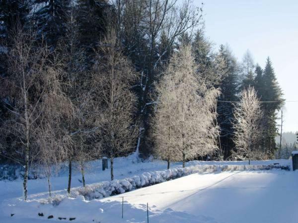 Dom Na Pstraznicy Villa Кудова-Здрой Екстериор снимка