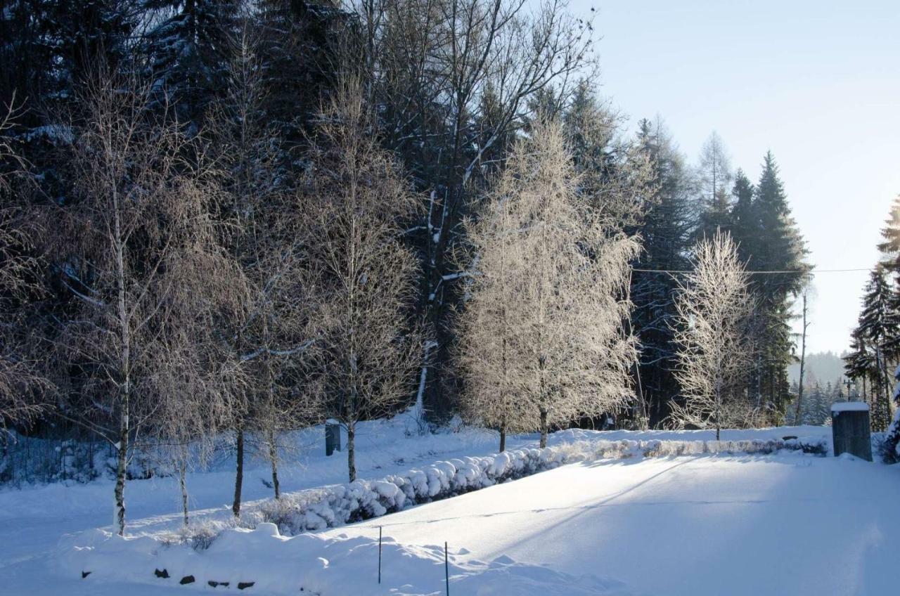 Dom Na Pstraznicy Villa Кудова-Здрой Екстериор снимка