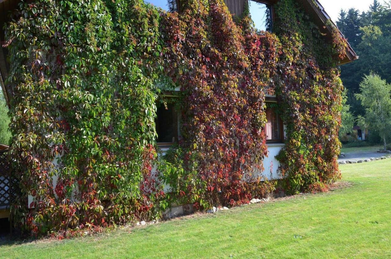 Dom Na Pstraznicy Villa Кудова-Здрой Екстериор снимка